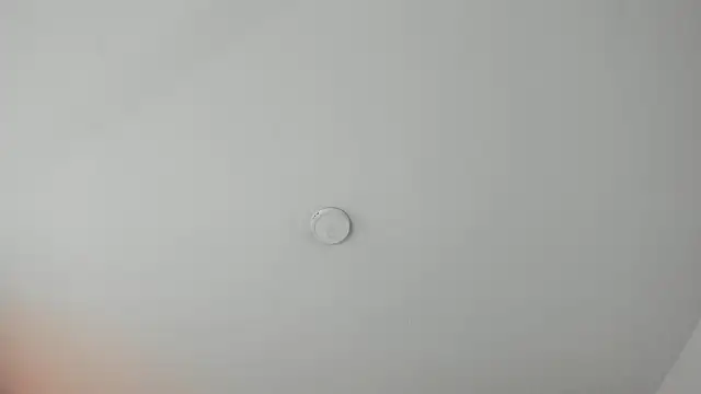 PandoraRider online show from 04.12.26