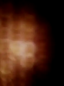 lavancaafiada online show from 04.24.26