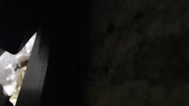 Hungry  Puppy online show from 11.08.25