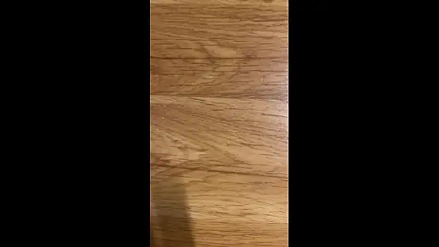 Hungry  Puppy online show from 04.08.26