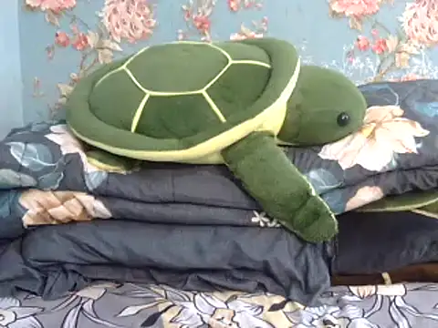 Tiny lusty online show from 03.11.25