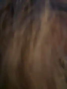 Lombada online show from 11.13.25