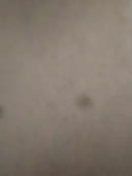 Snapshot of rohitlov150 chatting on 02.23.25 rohitlov150 online show from 02.23.25