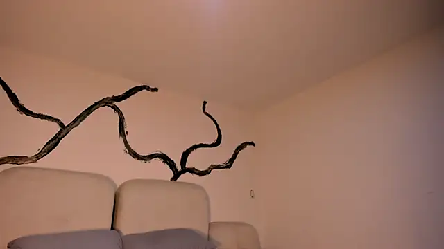 Snapshot of EthanTravis_ chatting on 02.11.25 EthanTravis online show from 02.11.25