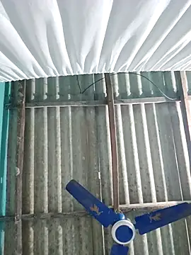 hotbaby 5 online show from 11.14.25