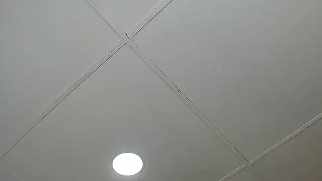 dannaberlin 0 online show from 03.08.25