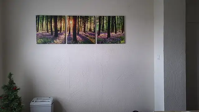 Harry Boldt online show from 12.30.24