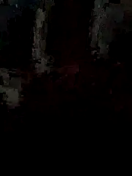 pintuS40 online show from 09.15.25