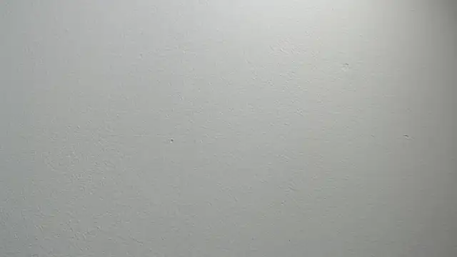 Snapshot of sussy_leon chatting on 02.11.25 sussy leon online show from 02.11.25