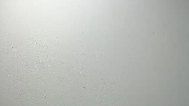 Snapshot of sussy_leon chatting on 02.20.25 sussy leon online show from 02.20.25