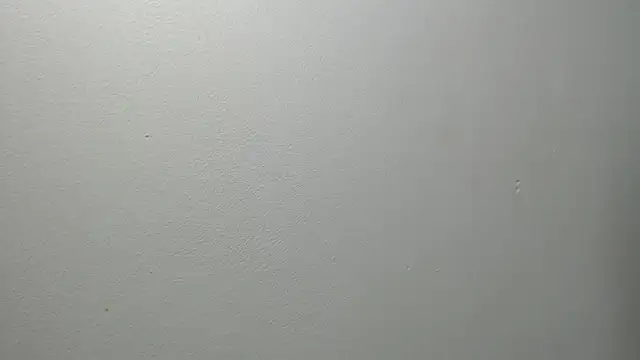 Snapshot of sussy_leon chatting on 02.27.25 sussy leon online show from 02.27.25