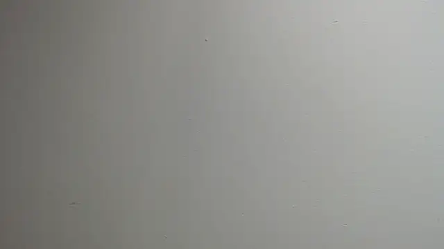 Snapshot of sussy_leon chatting on 03.13.25 sussy leon online show from 03.13.25