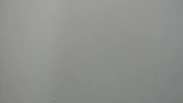 Snapshot of sussy_leon chatting on 03.14.25 sussy leon online show from 03.14.25