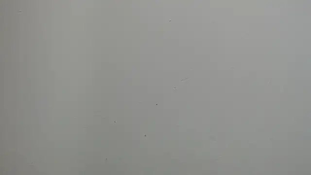 Snapshot of sussy_leon chatting on 03.18.25 sussy leon online show from 03.18.25