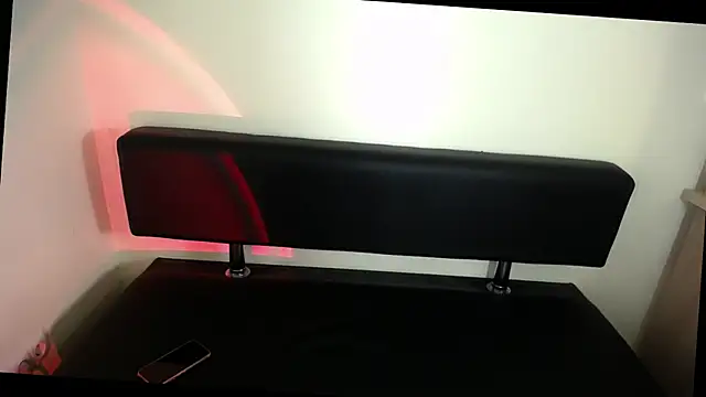 Snapshot of LaimaV_ chatting on 01.19.26 LaimaV online show from 01.19.26