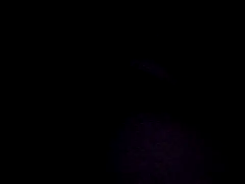 Snapshot of yasohw chatting on 12.27.24 yasohw online show from 12.27.24