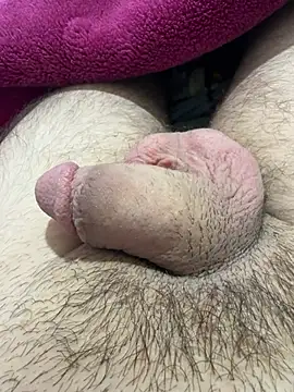 TheArabicGuyx online show from 04.08.26