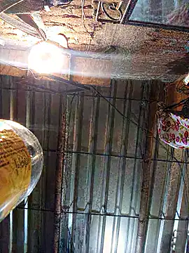 Snapshot of yovana13 chatting on 06.29.26 yovana13 online show from 06.29.26