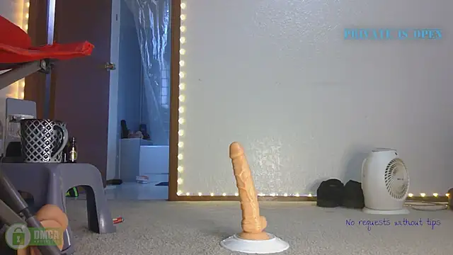 Snapshot of SlammyDjr chatting on 03.14.25 SlammyDjr online show from 03.14.25