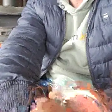 Snapshot of Lumpi1988A chatting on 02.19.26 Lumpi1988A online show from 02.19.26