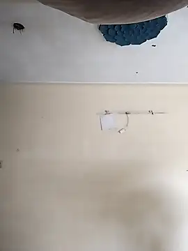 heartless  95 online show from 10.20.25