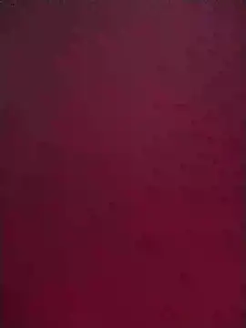 Norve26 online show from 02.02.25