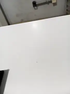 lobomisterioso13 online show from 12.16.24