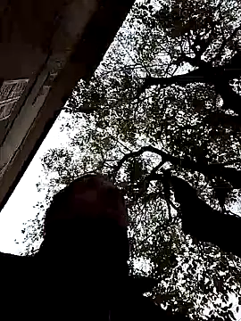 openlegsforyou online show from 11.22.25