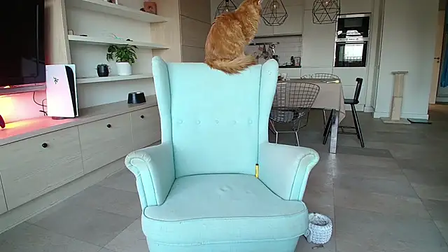 Snapshot of Kotis_Foxy chatting on 10.03.25 Kotis Foxy online show from 10.03.25