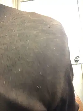 agaupt2 online show from 12.16.25