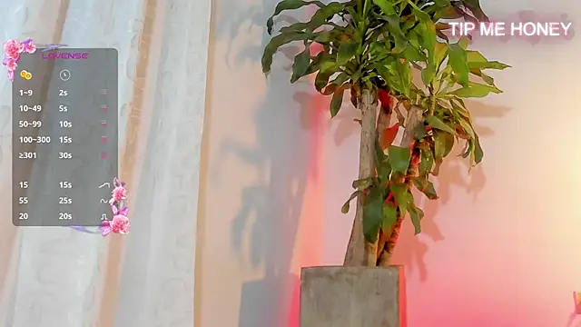 juanmiss online show from 02.03.25