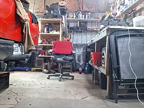 Frankdick01 online show from 11.06.25