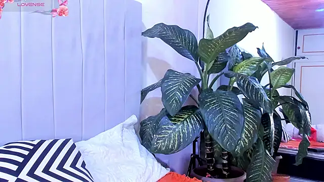 Mindy sweety online show from 03.06.25