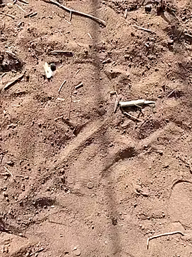 paugrande453 online show from 09.24.25