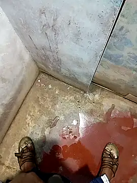 Andrapradesh online show from 11.21.25