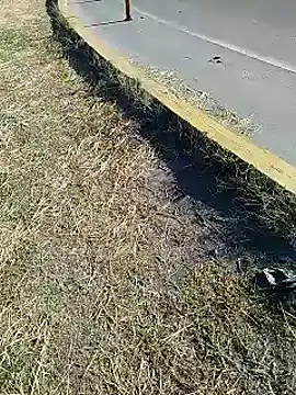 Snapshot of Alysson-- chatting on 01.20.25 Alysson-- online show from 01.20.25