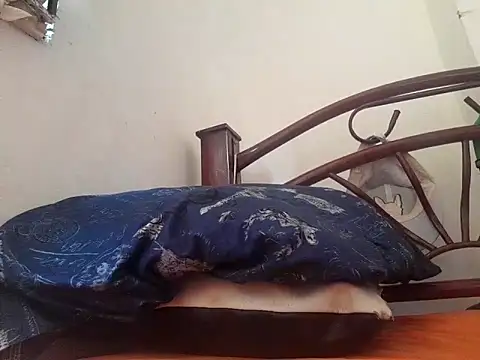 Snapshot of _afrodita_sex chatting on 02.10.25 afrodita sex online show from 02.10.25