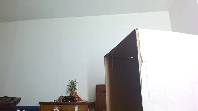 Party trans online show from 12.14.24