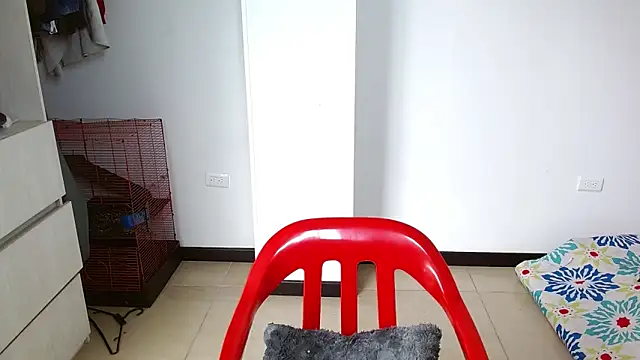 Party trans online show from 12.28.24