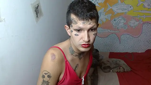 Party trans online show from 02.10.25