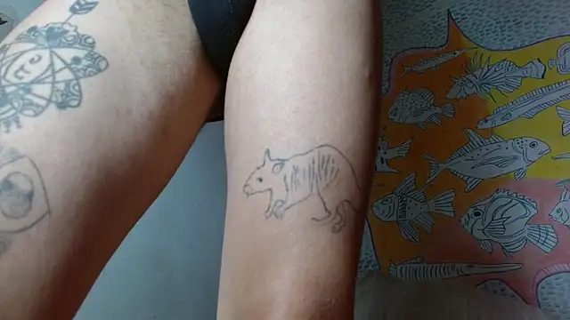 Party trans online show from 02.11.25