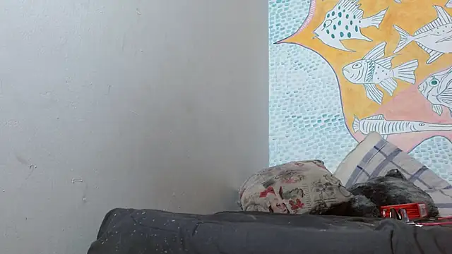 Party trans online show from 02.14.25