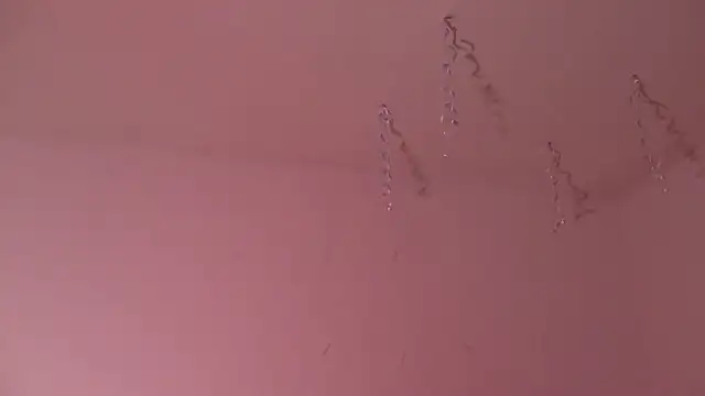 Miss oliviaa online show from 01.03.25