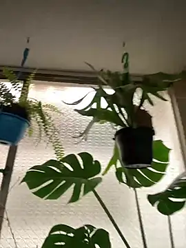 Miss oliviaa online show from 03.10.26