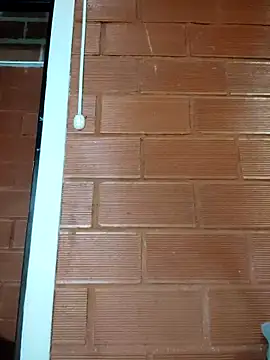 Snapshot of Priyalakshmi_ chatting on 02.27.25 Priyalakshmi online show from 02.27.25