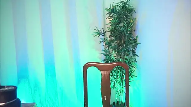 Snapshot of dam0n_fr0st chatting on 02.04.26 dam0n fr0st online show from 02.04.26