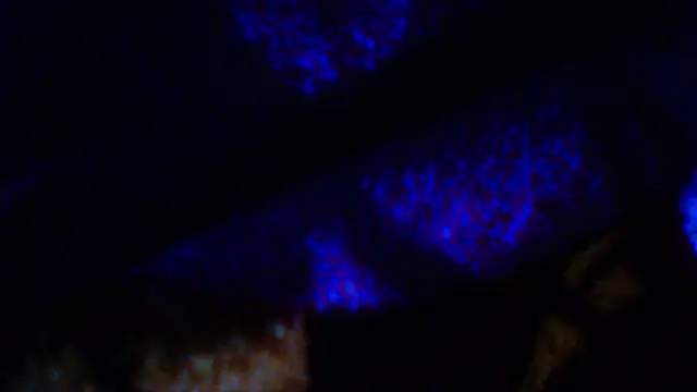 penesillo79 online show from 12.18.25