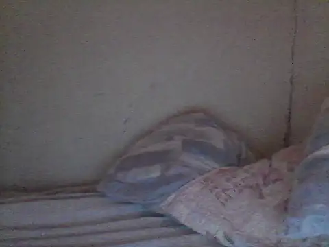 pornstarbrezillian online show from 11.13.25