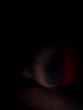 pornstarbrezillian online show from 11.15.25