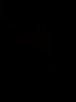 pornstarbrezillian online show from 11.24.25